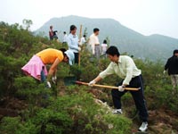 東芝(中國)2007年度公益植樹助學活動