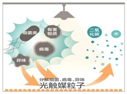 東芝光觸媒業(yè)務在中國正式啟動