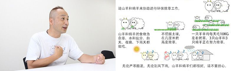 為了加深大家對“山羊和綿羊除草”的理解，制作Ｔ恤衫和看板。